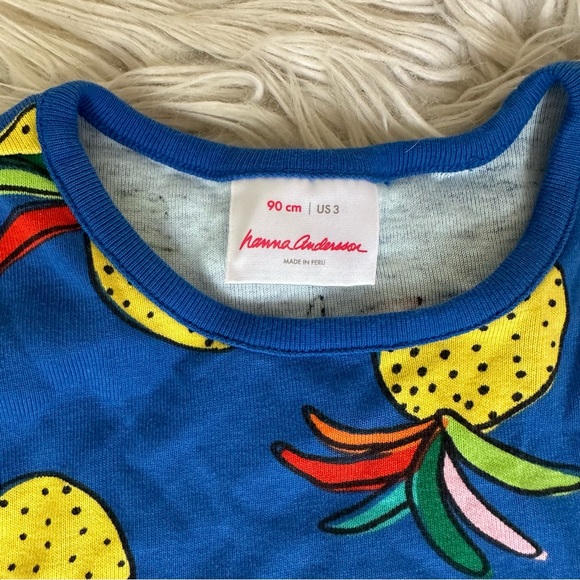 Hanna Andersson Rainbow Pineapple Blue Dress 3T - Picture 3 of 6